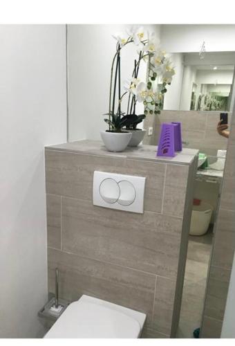 a bathroom with a toilet and flowers on a counter at Apartmani Deluxe in Jasenice