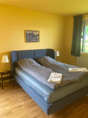 グルンダルフィヨルズルにあるThe Writer´s Nestの青いソファ付きの客室のベッド1台