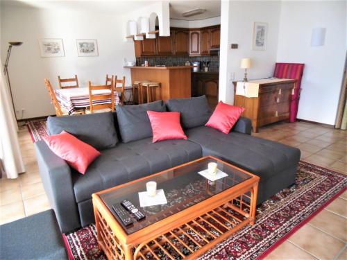 a living room with a black couch and red pillows at Abschalten vom Alltag in Brissago in Brissago