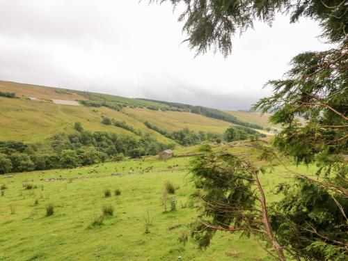 a herd of sheep grazing in a green field at Garth Gill in Sedbergh
