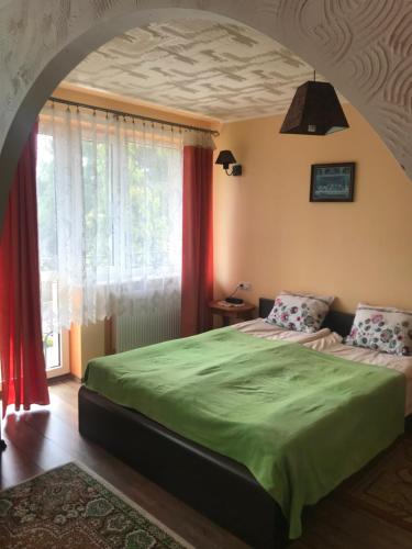 a bedroom with a green bed and a window at Pokoje gościnne U Wandy in Ostrowo