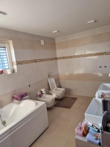 ein Badezimmer mit einer Badewanne, einem WC und einem Waschbecken in der Unterkunft ADRIANs HOUSE in Domžale
