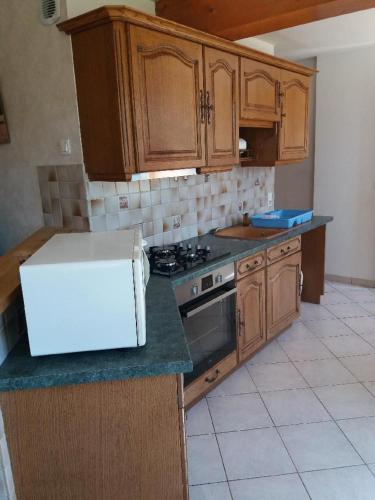 une cuisine avec des armoires en bois et un réfrigérateur blanc dans l'établissement Appartement meublé agréable au cœur du massif du Jura, à Malpas