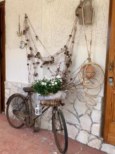 a bike with flowers in a basket on a wall at Villa Anna GuestHouse in Brindisi