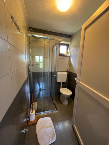 a bathroom with a shower and a toilet at Guesthouse Hodak in Seliste Dreznicko