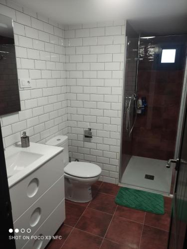 a bathroom with a toilet and a sink and a shower at Apartamentos Patas y Patetas in Tragacete