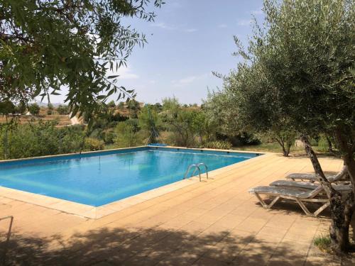 una piscina con due sedie e un albero di Cortijo El Álamo a Vélez Blanco