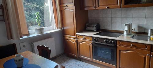 a kitchen with a stove and a table and a window at Agro-szyszynka in Jeżów Sudecki