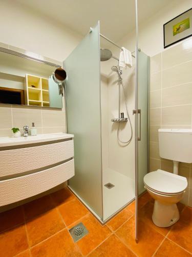 a bathroom with a shower and a toilet and a sink at Apartments Pri nas in Kobarid