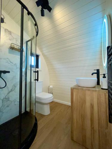 a bathroom with a shower and a sink and a toilet at EASTRIDGE GLAMPING in Shrewsbury