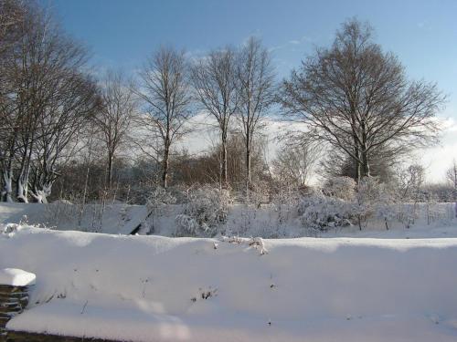 a field covered in snow with trees in the background at Gites-Clairiere-Ardenne in Louftémont