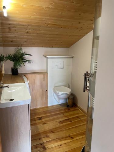 La salle de bains est pourvue de toilettes et d'un lavabo. dans l'établissement Sublime studio de caractère ,50 m2 climatisé ., à Montlaur-en-Diois