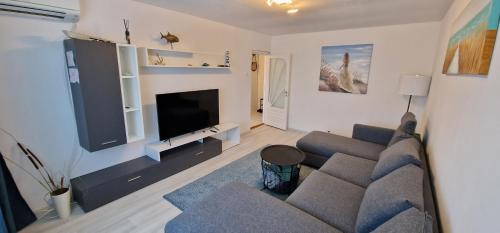 a living room with a couch and a flat screen tv at Musura Bay Apartments in Sulina