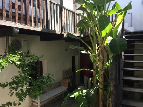 a house with a staircase and a plant at Casa Fabula in Ilha de Moçambique