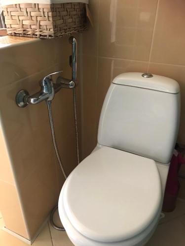 a bathroom with a toilet with a hose at Cosy room Püssi town in Pyussi