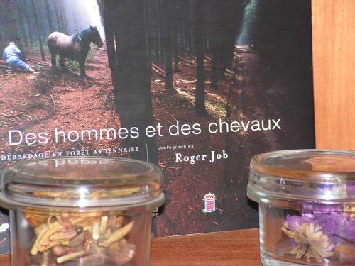 a book sitting on a table next to two glass jars at Gites-Clairiere-Ardenne in Louftémont