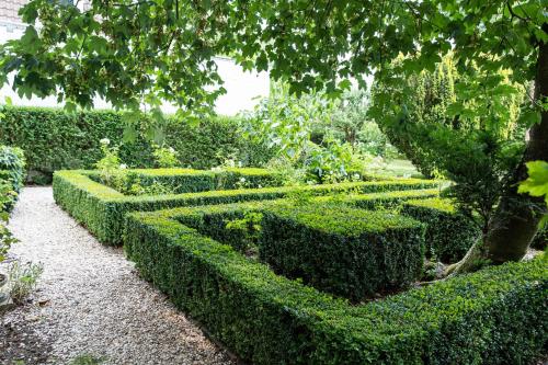 a hedge garden with hedges and a tree at La Castagnère de Bergory in Wervicq-Sud