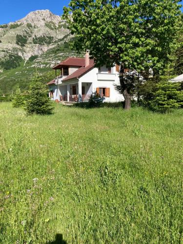 Un paisaje natural cerca de la casa de huéspedes