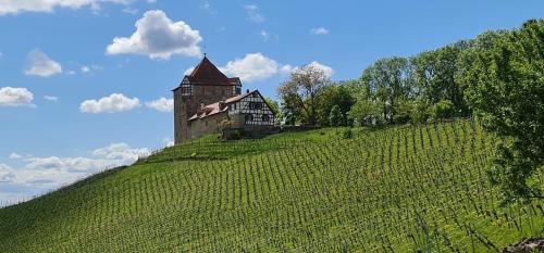 Imagen de la galería de Sali Homes - GaesteHaus Lamm Obersulm, en Obersulm