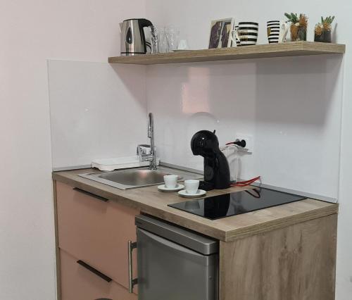 a kitchen with a sink and a black dog on the counter at G&G Suites in Ohrid