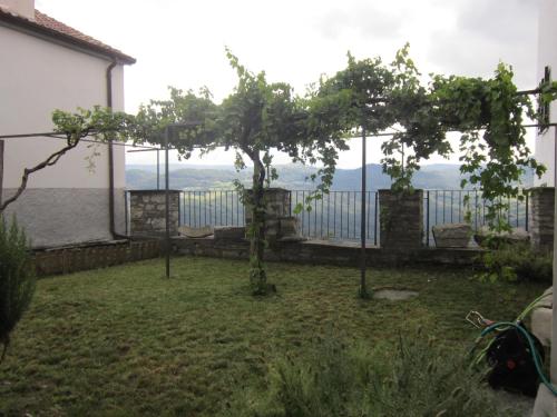 a view from the back yard of a house with a tree at Borgo San Pietro in Agnone