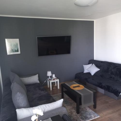 sala de estar con sofá y TV de pantalla plana en Apartament Plater, en Pruszcz Gdański