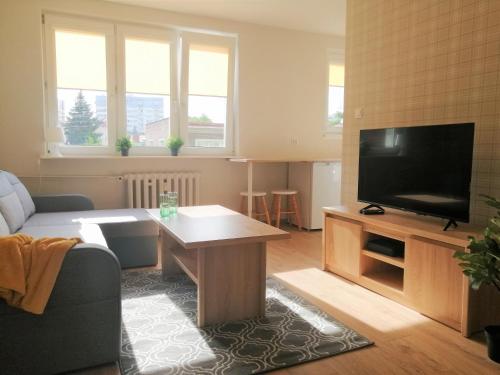 TV a/nebo společenská místnost v ubytování MARINA Brzeźno Apartment
