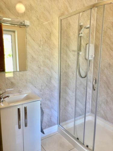 a bathroom with a shower and a sink at Loughgunnen Grove Lodge in Wexford