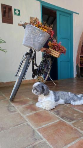 Gallery image of Hotel Florré Blossom Barichara in Barichara