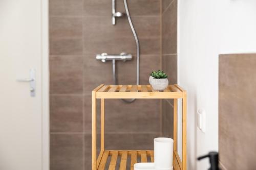 a bathroom with a shower with a plant on a wooden stand at Apartments am Neuen Theater - Altstadt - Zentral - Küche - Wifi - Powered by Ko-Living in Halle an der Saale