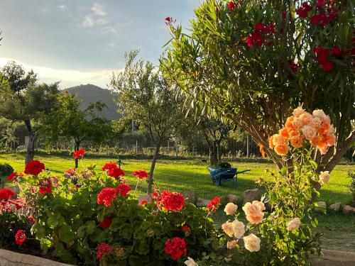 a garden with flowers and a bench in the background at RusticHome in Torpè
