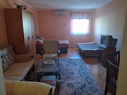 een woonkamer met een bank en een tv bij Apartman Djenovici in Herceg-Novi