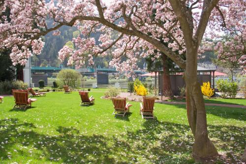 a park with chairs and a tree with pink flowers at Moselschlösschen Spa & Resort in Traben-Trarbach