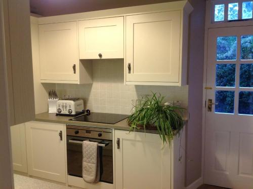 Kitchen o kitchenette sa Narrow Water Castle Self Catering Accommodation