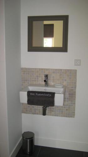 a bathroom with a sink and a mirror at B&B Het Postenhofje in Puiflijk