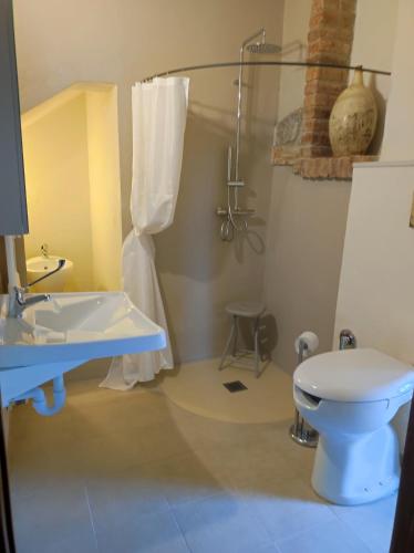 a bathroom with a toilet and a sink and a shower at Antica Cascina del Medico in Muzzano