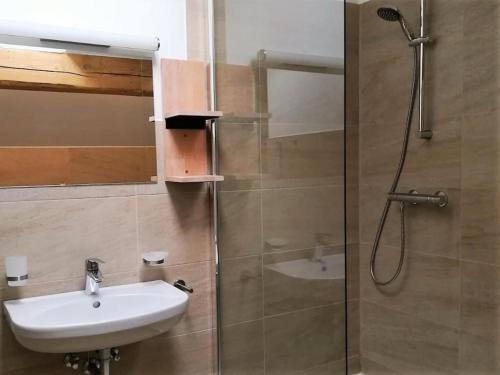 łazienka z umywalką i prysznicem w obiekcie Haus Planegg XL w mieście Rangersdorf