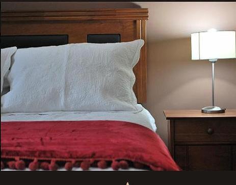a bedroom with a bed with a red blanket and a lamp at Apart Hotel Cancura in Chillán