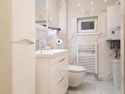 サラエボにあるSilver Gate Apartment Sarajevoのトイレと洗面台を備えた白いバスルーム