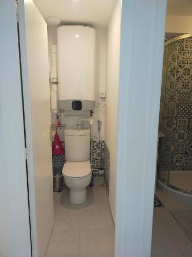 La salle de bains est pourvue de toilettes blanches dans le couloir. dans l'établissement GREEN GARDEN cosy home WIFI, à Nantes