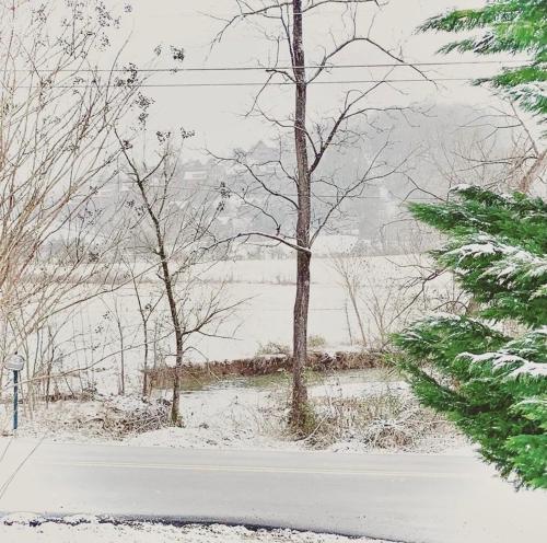 Hidden Gem Location, Privacy, Game Room, Hot Tub, Fire Pit, Flat Lot Family Fun v zimě