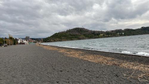 アパートメントの近くで見られる自然の景観