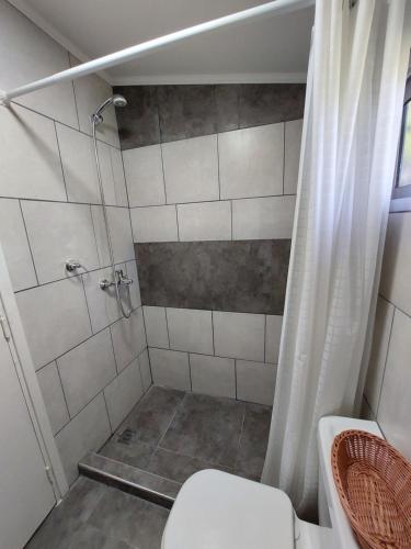 Un baño con ducha y WC. en Cabañas Casa fuerte, en San Rafael