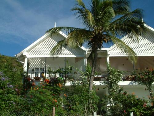 a palm tree in front of a white building at Green Roof Inn in Carriacou
