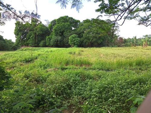 a field of grass with trees in the background at VILLA ROUCHELE KIKAY Resthouse Vacation HOME in San Ildefonso