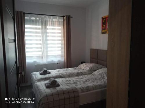 a bedroom with a bed and a window with a windowvisor at Apartament ElMar in Kołobrzeg