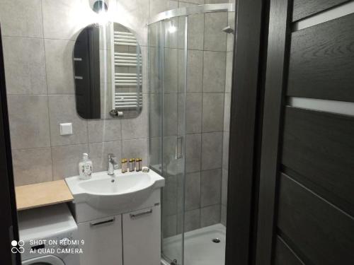 a bathroom with a shower and a sink and a mirror at Apartament ElMar in Kołobrzeg
