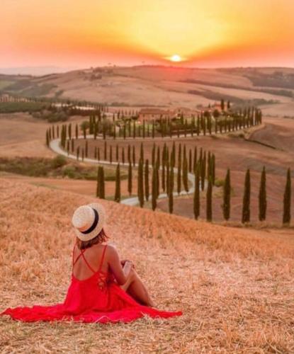 a woman sitting on a hill watching the sunset at Monteriggioni Castello in Monteriggioni