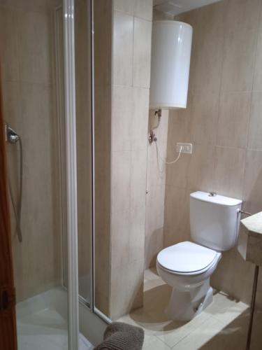 a bathroom with a toilet and a shower at HOTEL El ALAMO MADRID in El Álamo