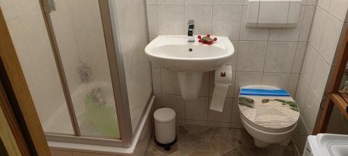 a small bathroom with a sink and a toilet at Ferienwohnung Sommerbrise in Gelbensande